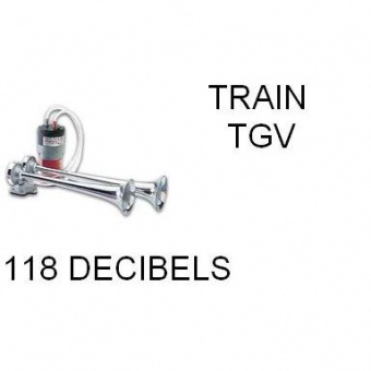 KLAXON TGV 24 V -- DEFAUT ASPECT