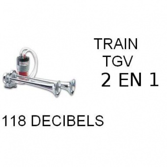 KLAXON TGV 12 V 2 EN 1 -- DEFAUT ASPECT